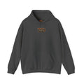 Thrift Is in Your Future - Mens Heavy Blend™ Hooded Sweatshirt 005
