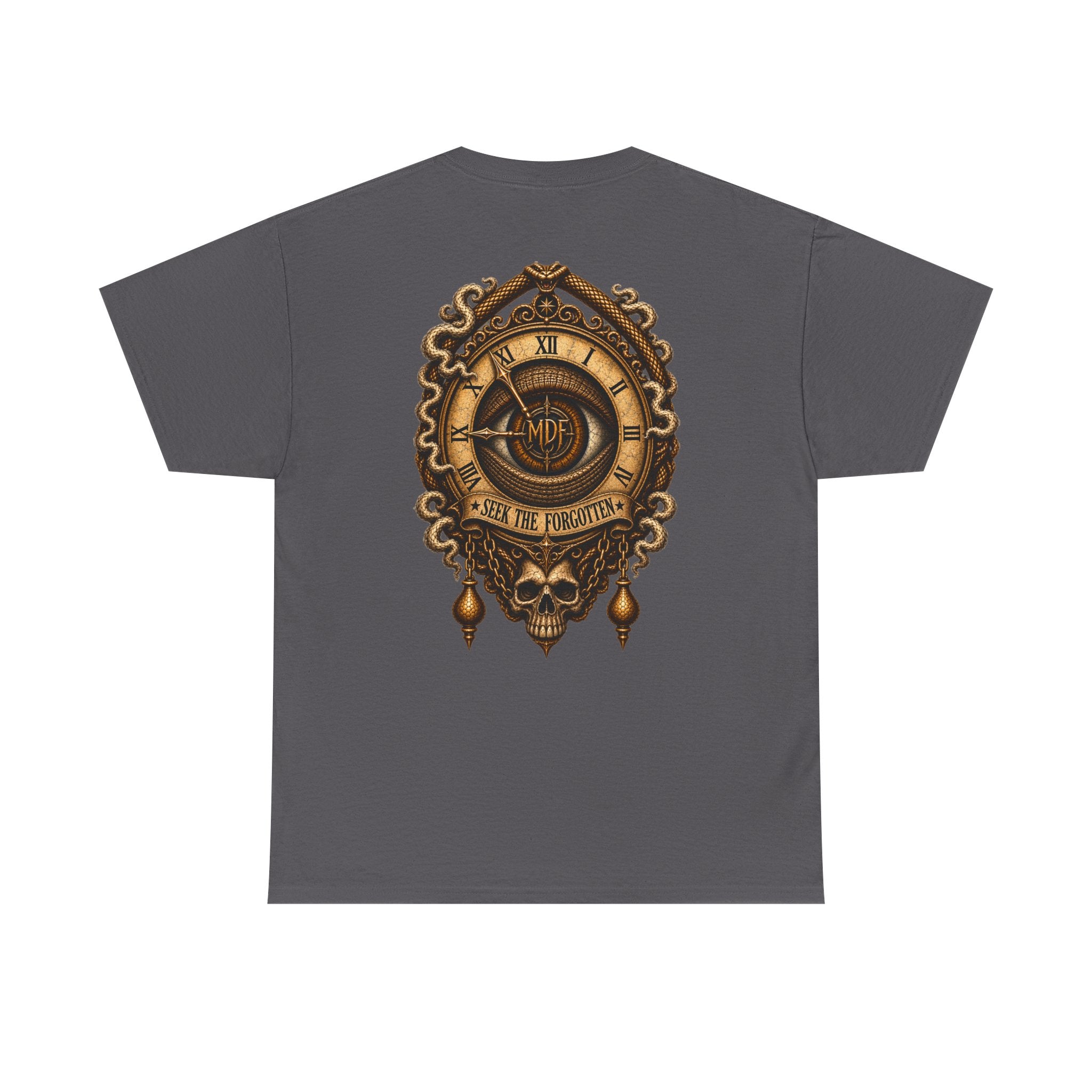 Seek The Forgotten - 004 Unisex Heavy Cotton Tee wts