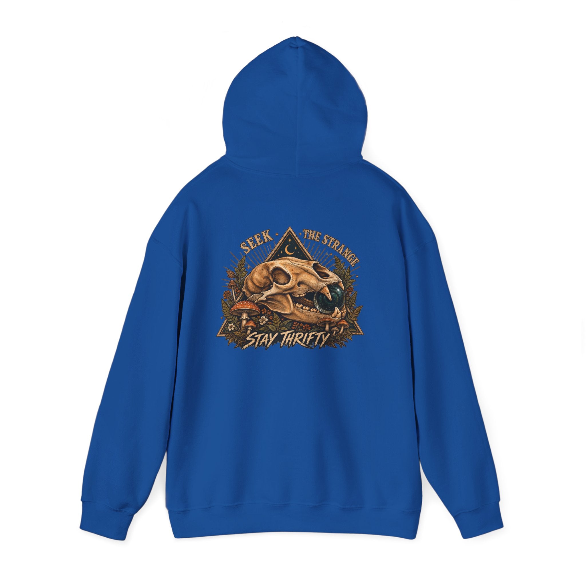 Seek The Strange Mens Hoodie 003