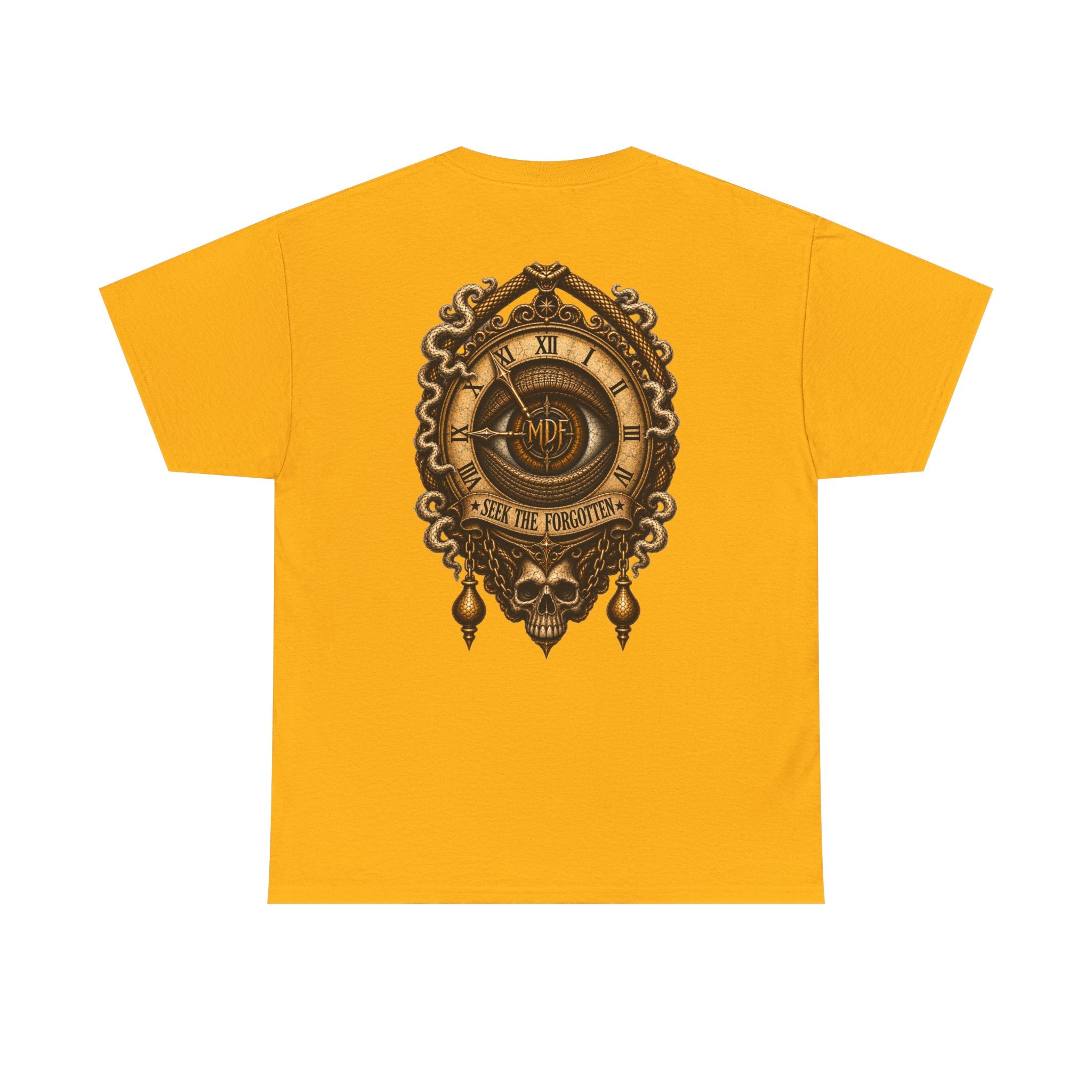 Seek The Forgotten - 004 Unisex Heavy Cotton Tee wts