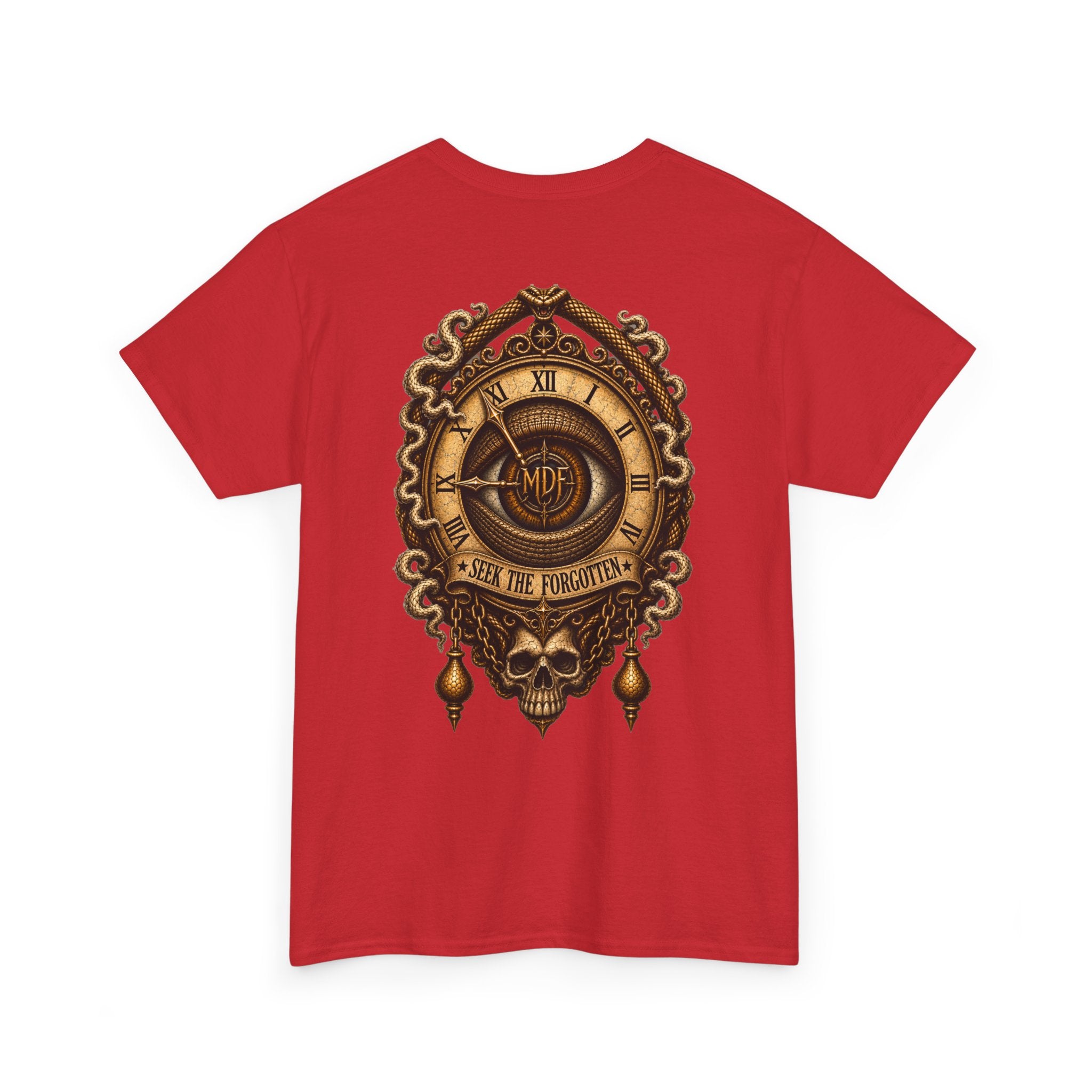 Seek The Forgotten - 004 Unisex Heavy Cotton Tee wts