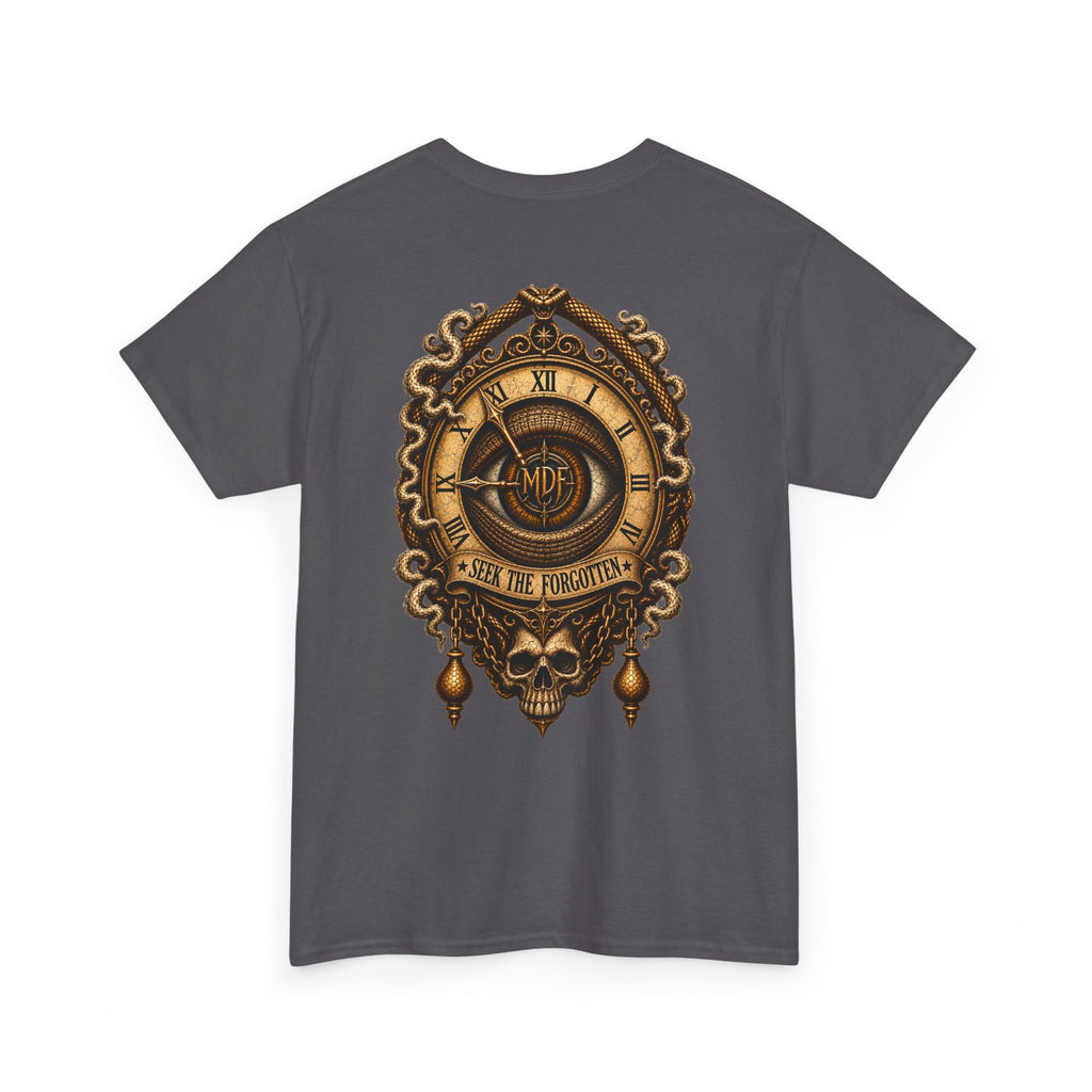Seek The Forgotten - 004 Unisex Heavy Cotton Tee wts