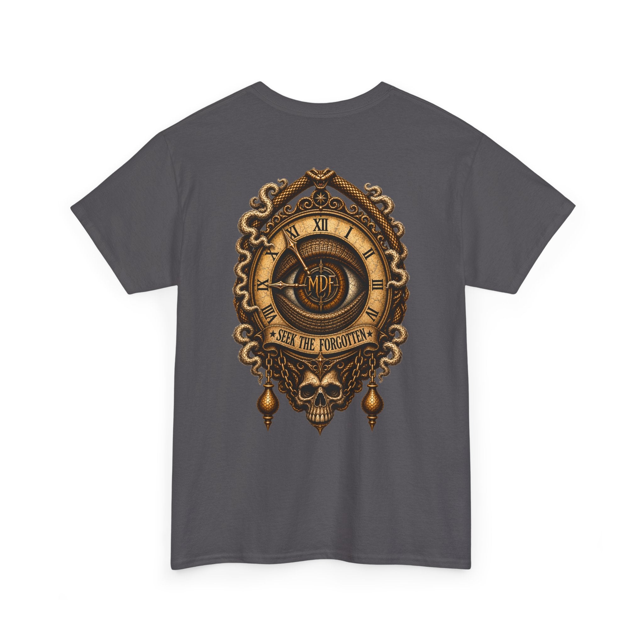 Seek The Forgotten - 004 Unisex Heavy Cotton Tee wts