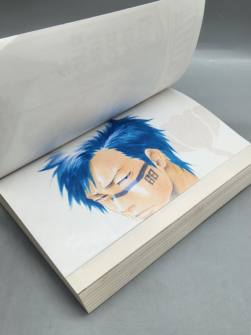 Bleach Can’t Fear Your Own World Vol 1 Light Novel Tite Kubo Viz Media Paperback