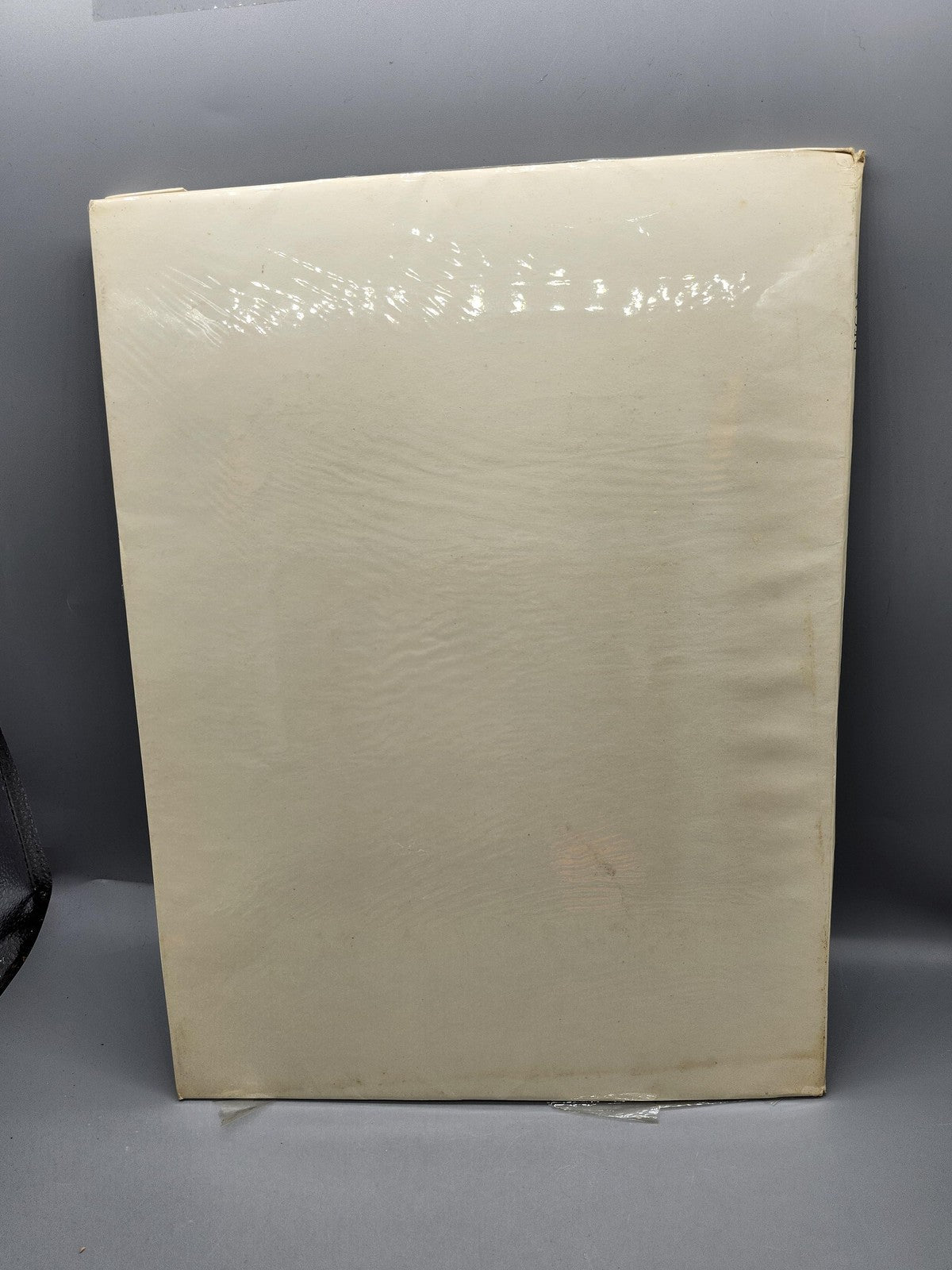 Vintage Degas 16 Full Color Prints Daniel Catton Rich White HC USA 1952