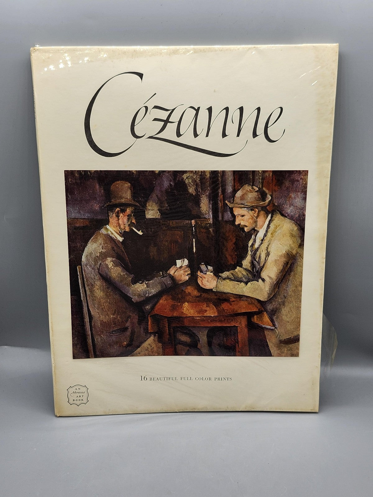 Vintage Cezanne 16 Full Color Prints Meyer Schapiro Cream HC Art Book USA 1952