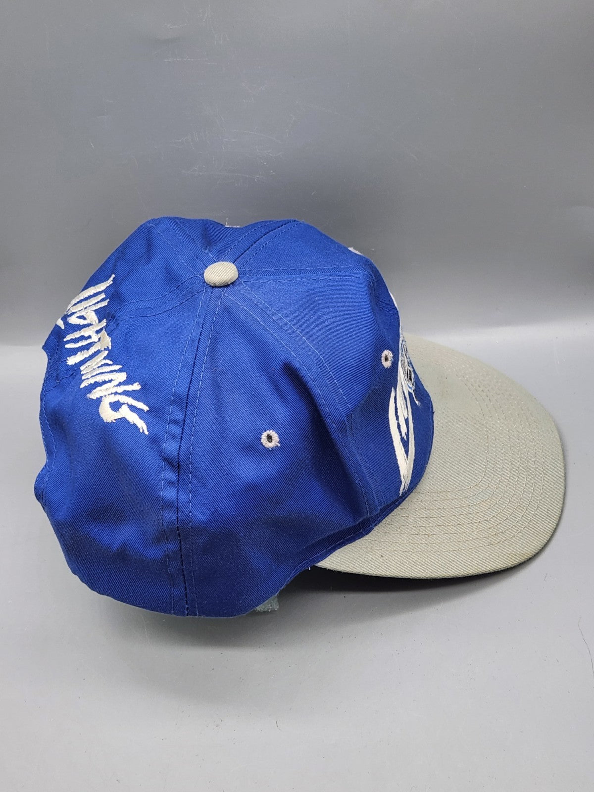 Vintage Tampa Bay Lightning Snapback Hat NHL Script Logo AJD Blue White 1990s