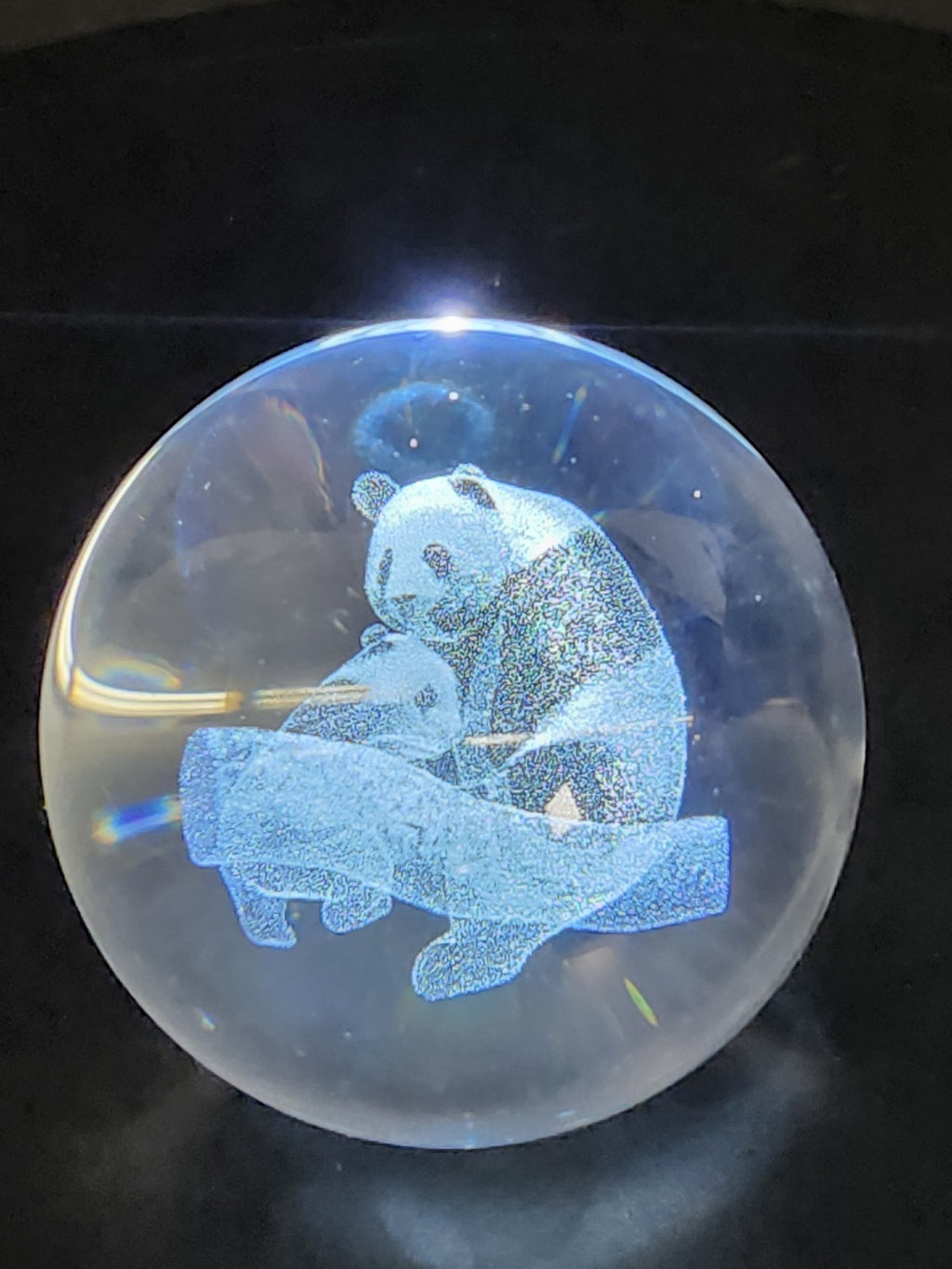 3D Laser Etched Panda Crystal Ball Glass Sphere Paperweight 3.1"