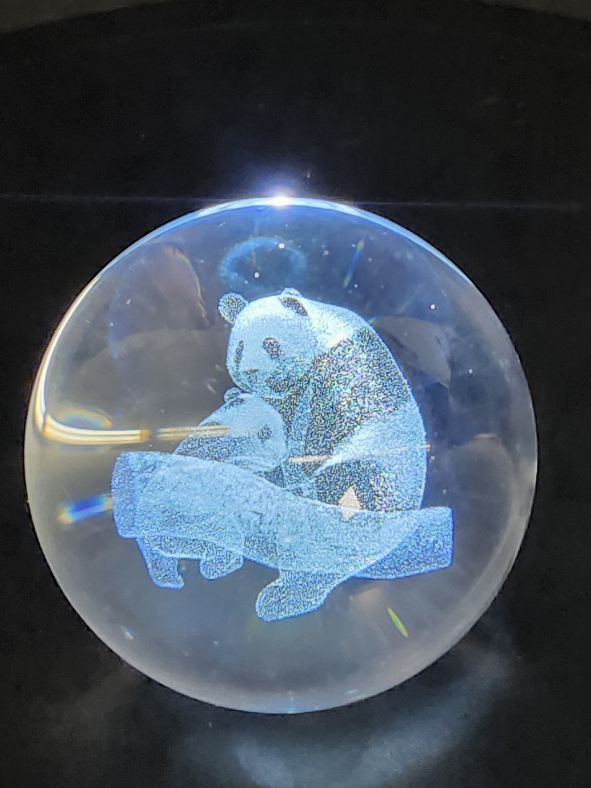 3D Laser Etched Panda Crystal Ball Glass Sphere Paperweight 3.1"