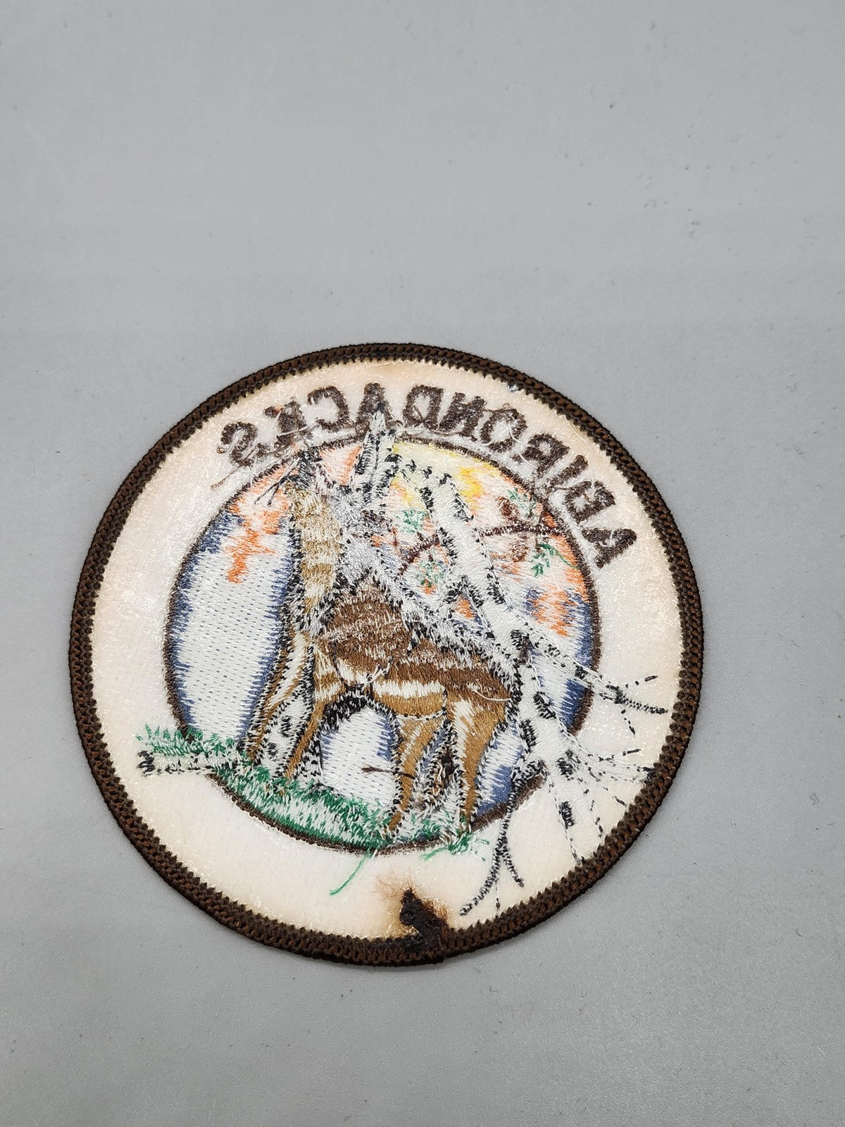 Adirondacks Wolf Embroidered Patch Round Sew On New York Multicolor Souvenir