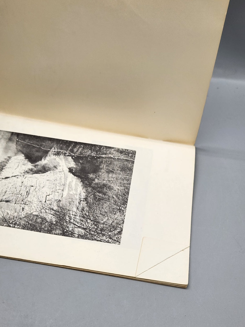 1956 Wm Pryor Letchworth & Glen Iris Book Sherman Peer Letchworth State Park