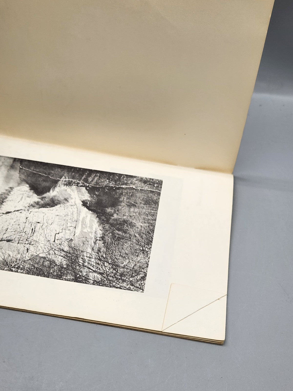 1956 Wm Pryor Letchworth & Glen Iris Book Sherman Peer Letchworth State Park