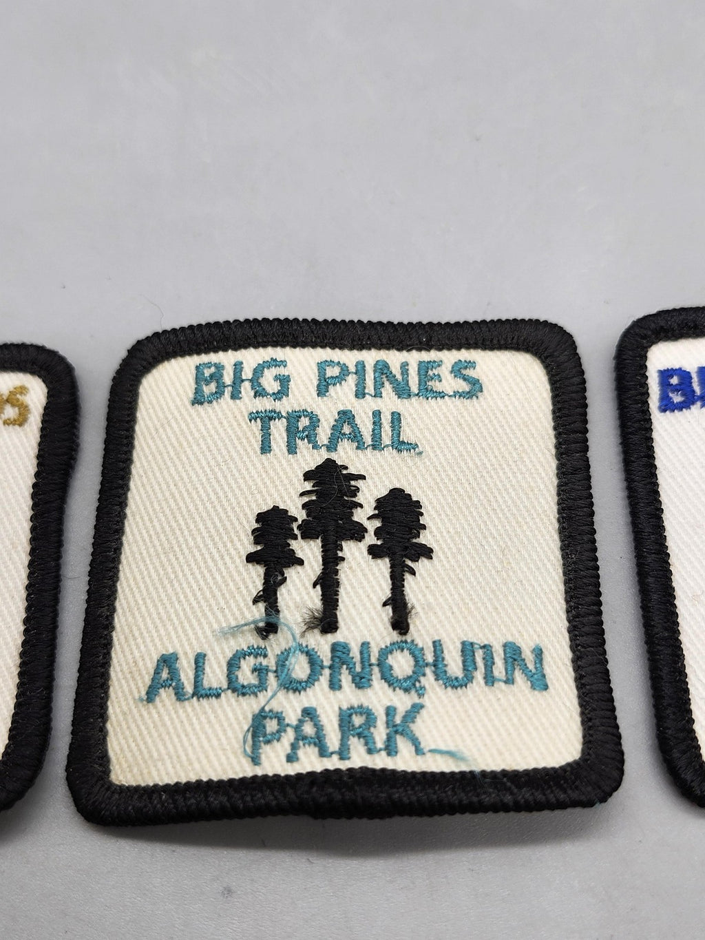 Algonquin Park Trail Patches Lot 3 Sew On Canada Multicolor Hiking Souvenir
