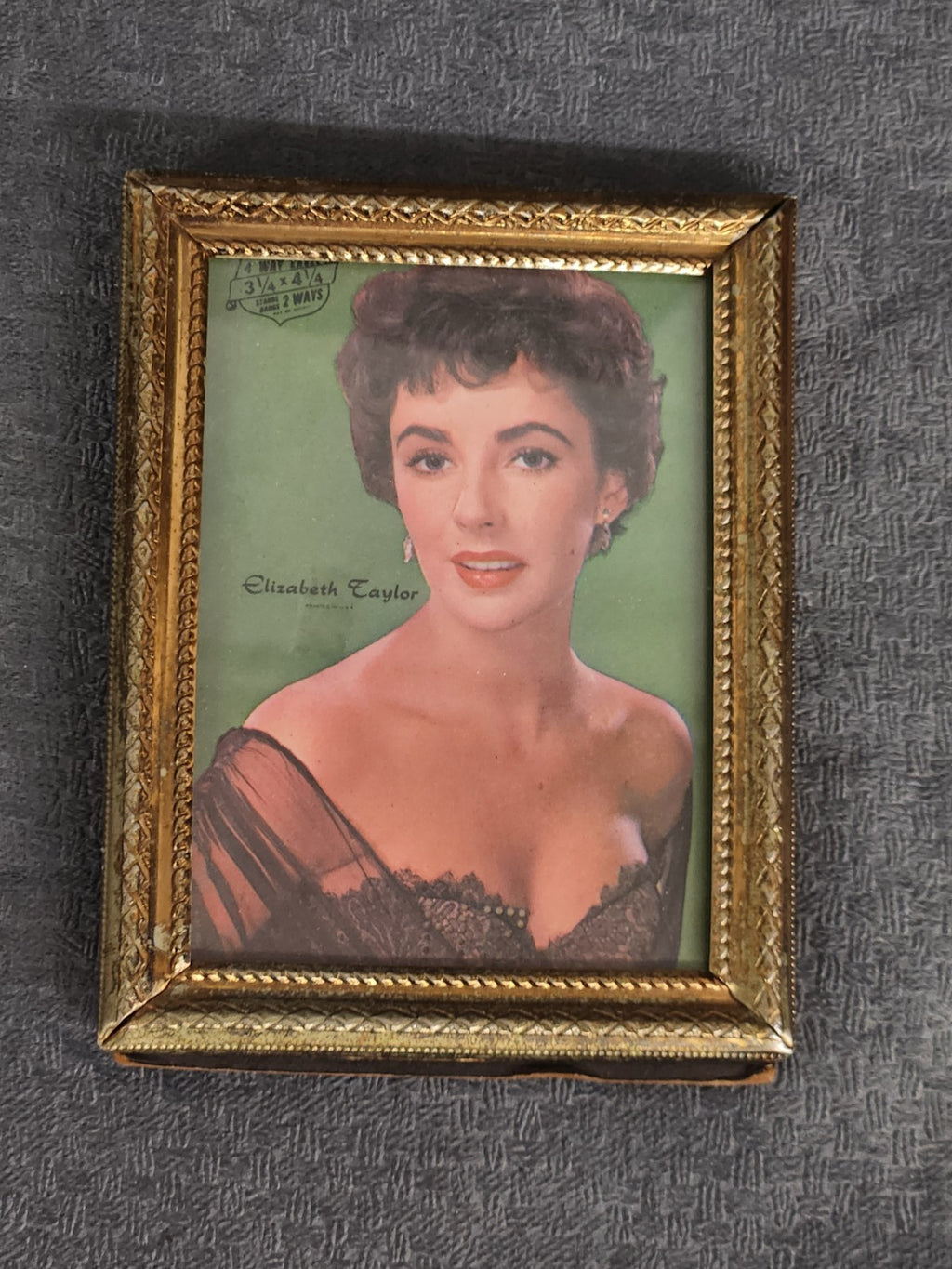 Vintage Elizabeth Taylor Mini Framed Portrait Print Hollywood Glamour Art