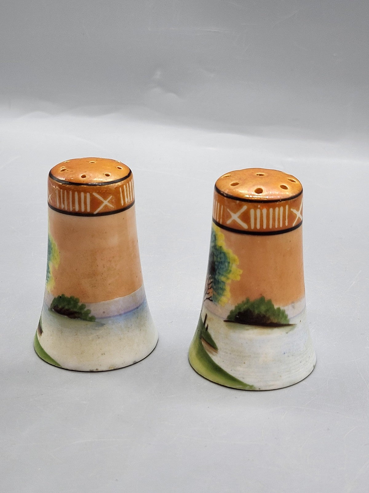 Vintage Japan Porcelain Salt & Pepper Shaker Set Small Handpainted Scenic Decor