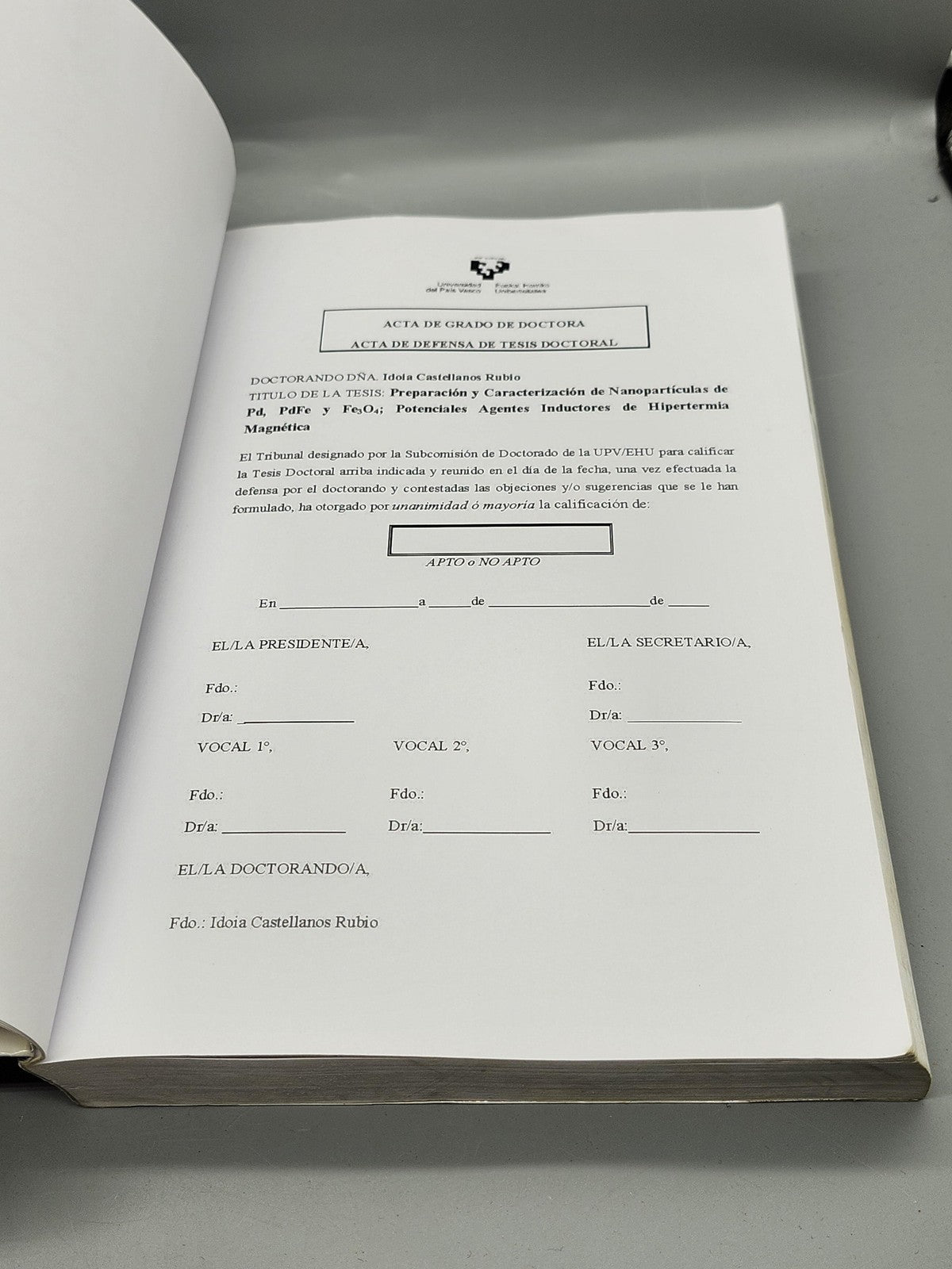 Preparación Nanopartículas Pd PdFe Fe3O4 Idoia Castellanos Blue PB Hipertermia