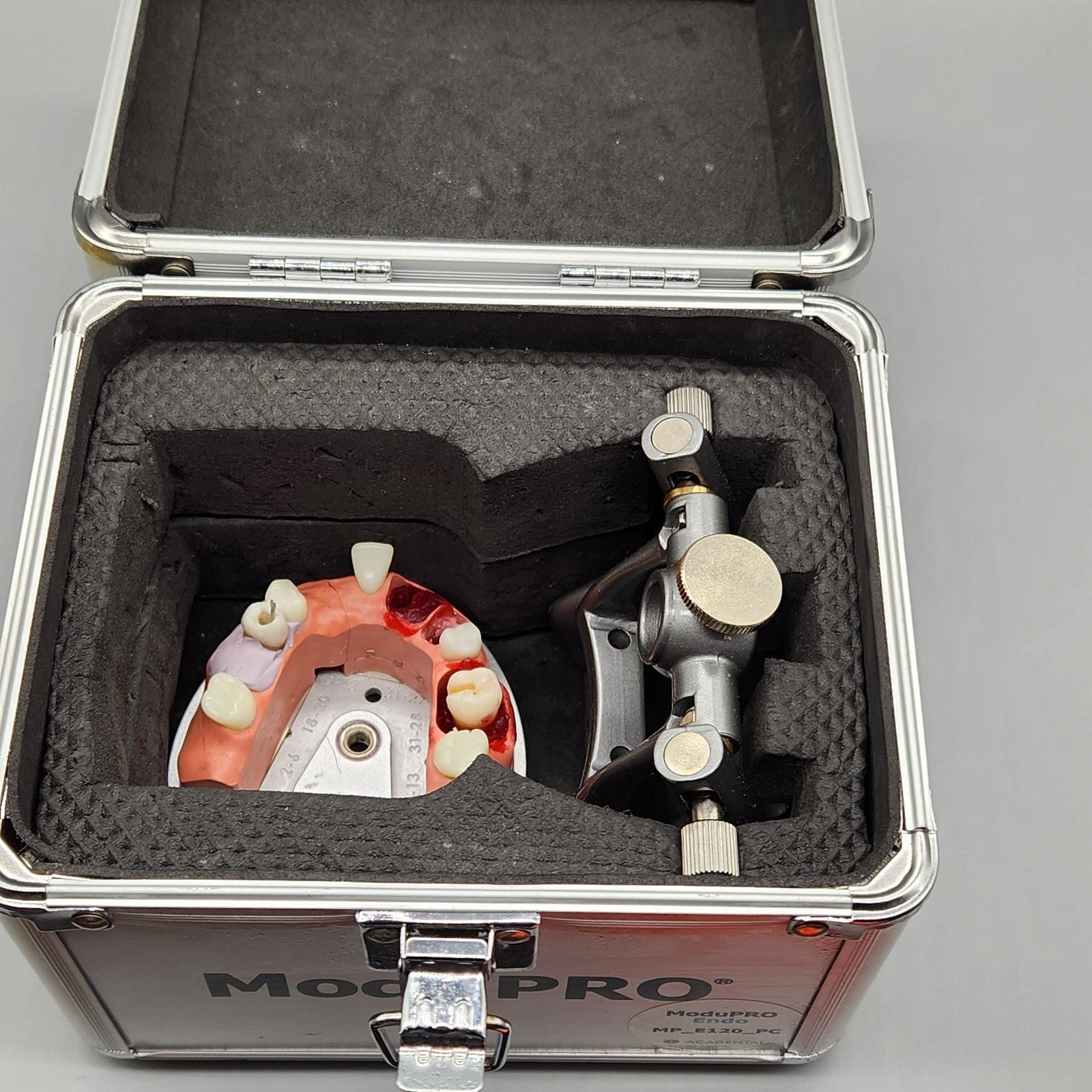 Acadental ModuPRO Endo Typodont MP_E120_PC Dental Silver Carrier Tray Case Model