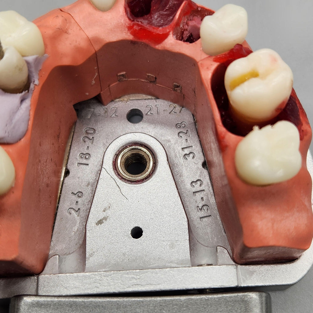 Acadental ModuPRO Endo Typodont MP_E120_PC Dental Silver Carrier Tray Case Model