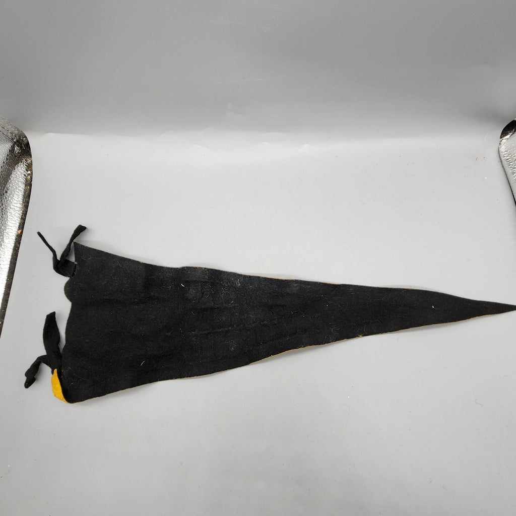 Cheektowaga Sting Rays Swim Team Meet Pennant Felt Black Yellow One Size