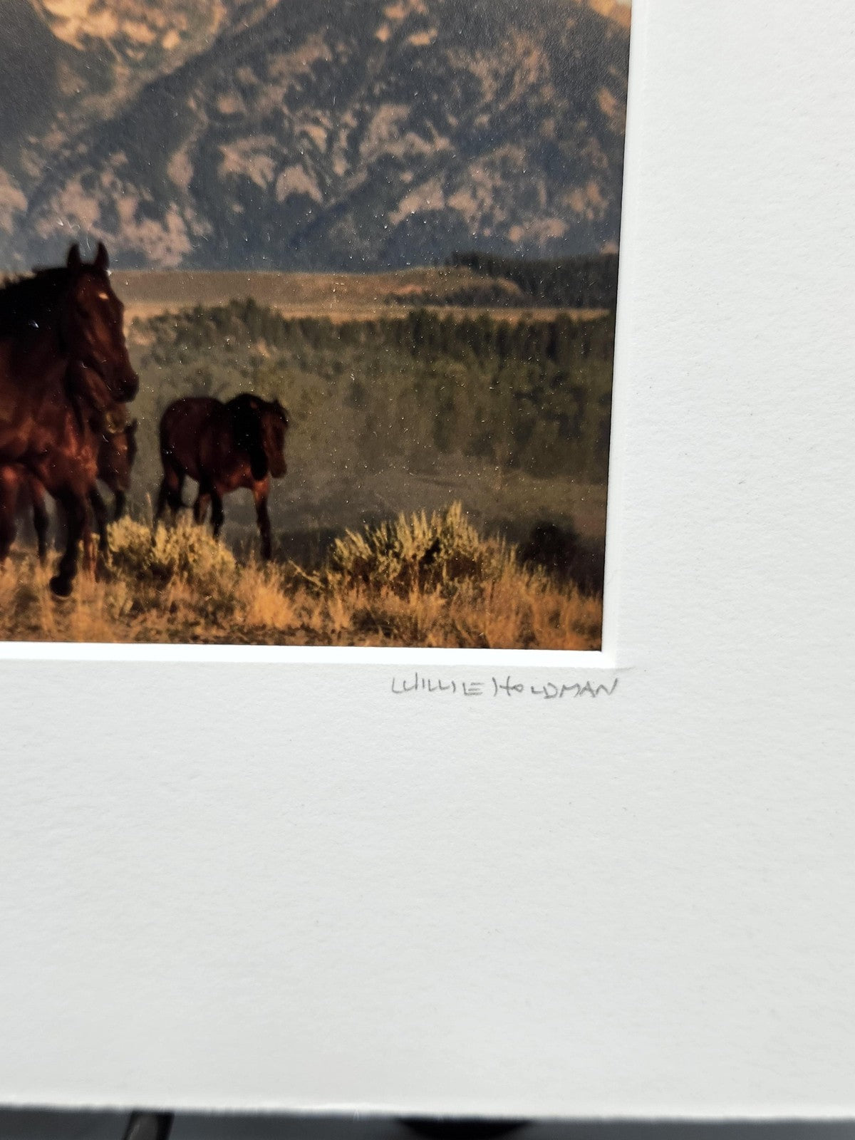 Teton Horses Willie Holdman Color Photograph 11x14 Matted Limited Edition