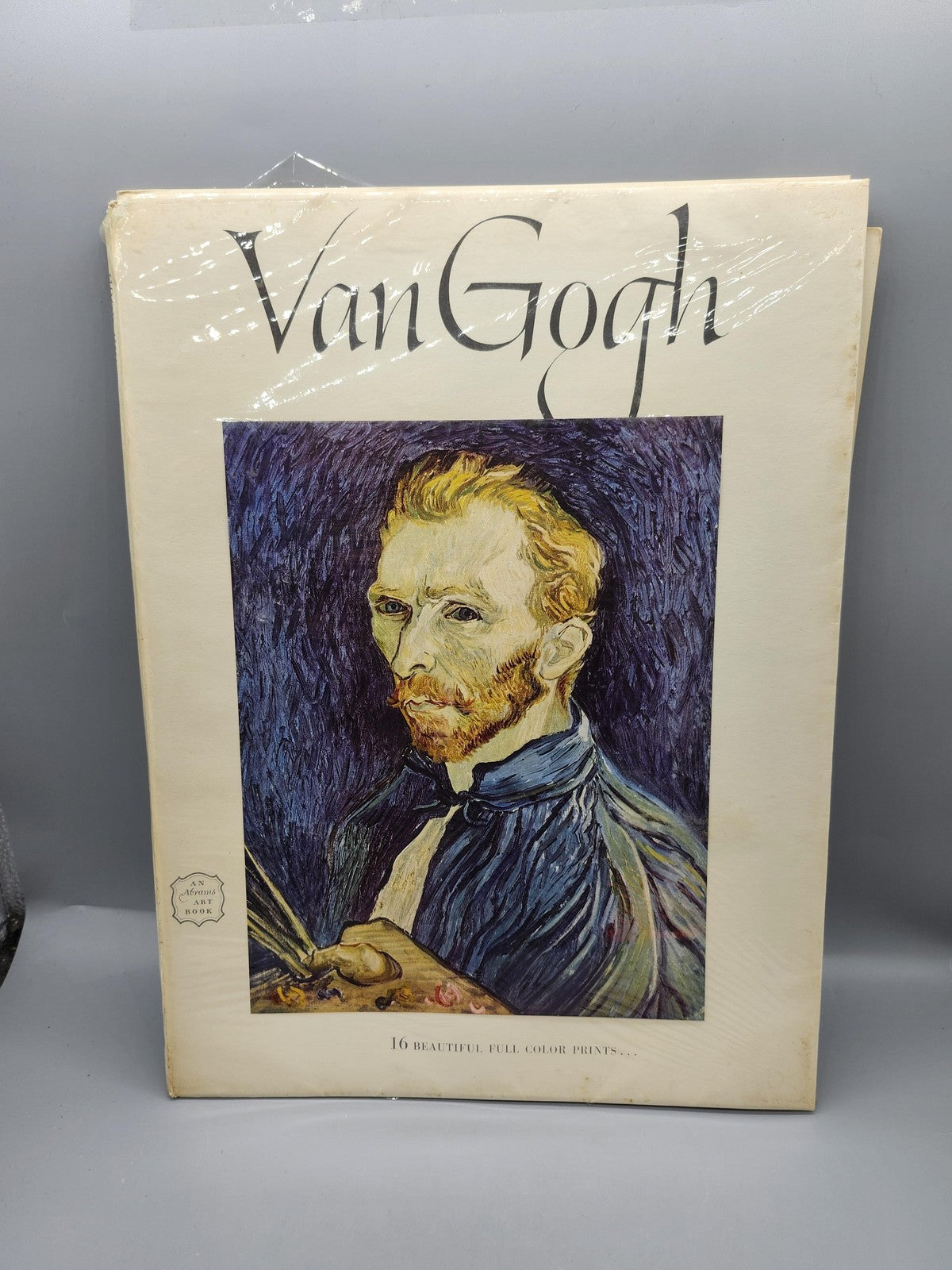 Vintage Van Gogh 16 Full Color Prints Meyer Schapiro Cream PB Art Book USA 1952