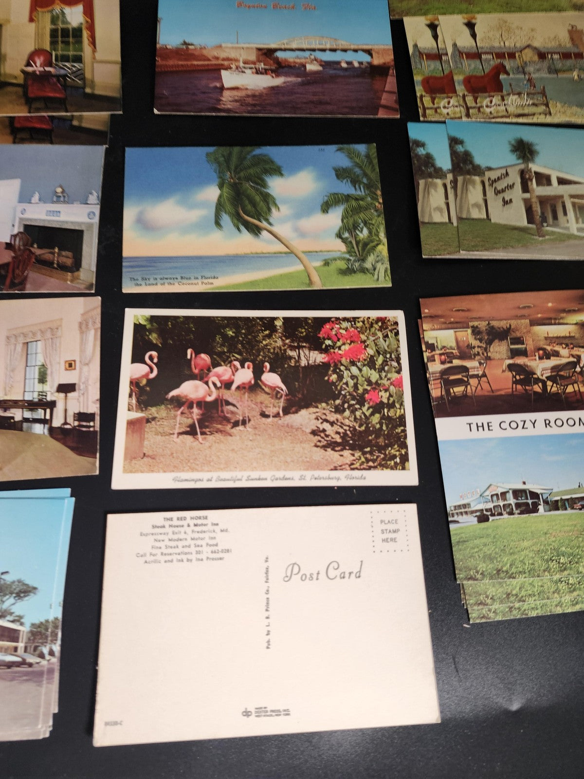 Vintage 1960s US Travel Chrome Postcards Lot 33 Motels Hotels Florida Roadside