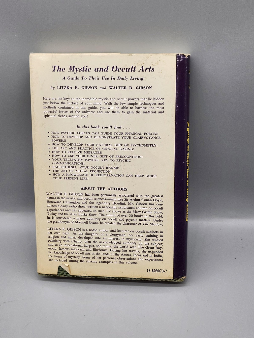 Vintage Mystic And Occult Arts Guide Gibson Purple HC DJ USA 1969 Occult