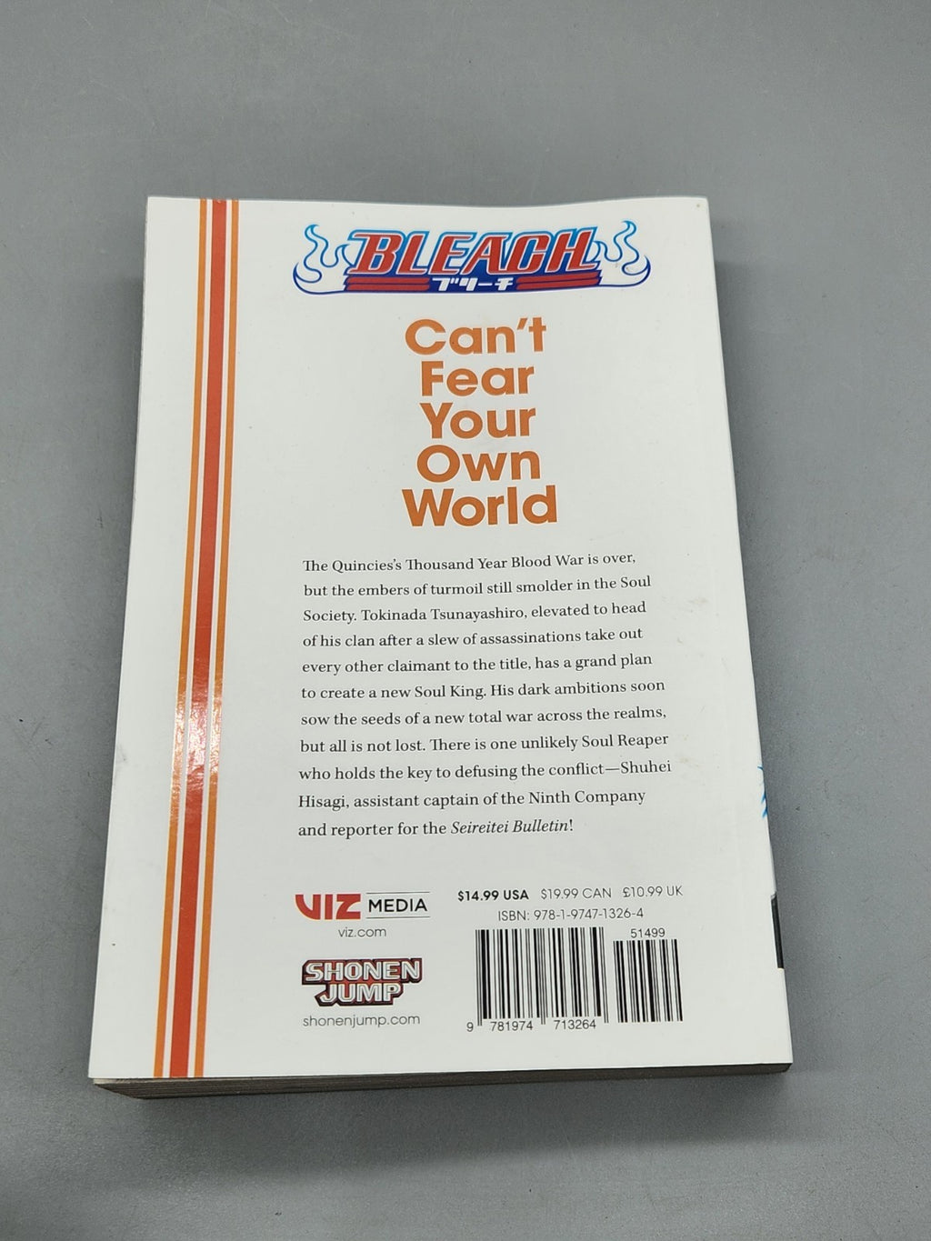 Bleach Can’t Fear Your Own World Vol 1 Light Novel Tite Kubo Viz Media Paperback