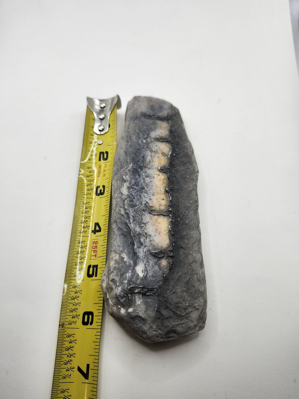 Fossil Tooth Hanging Wall Plaque Gray Resin Stone Look Rustic Decor