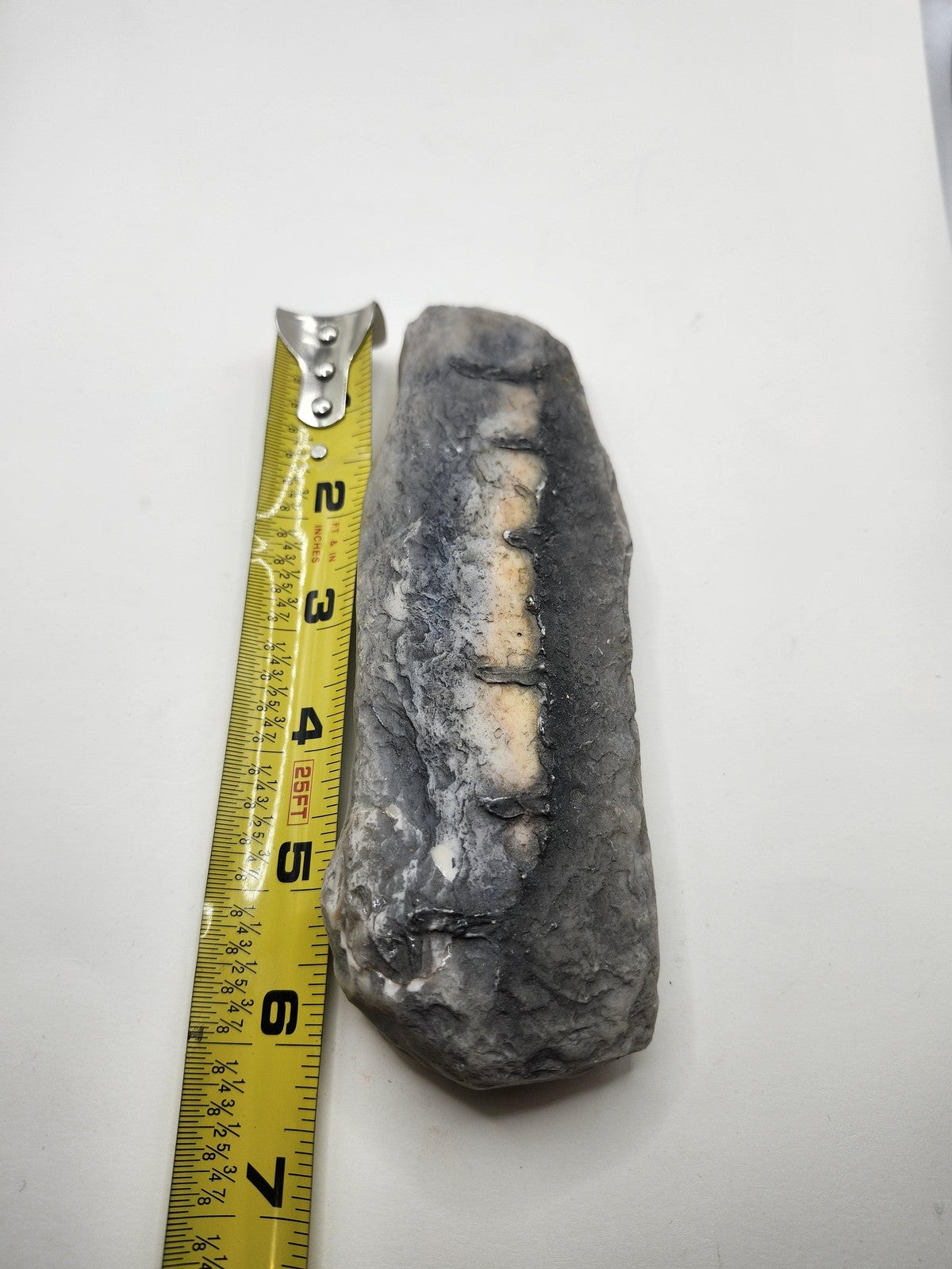 Fossil Tooth Hanging Wall Plaque Gray Resin Stone Look Rustic Decor