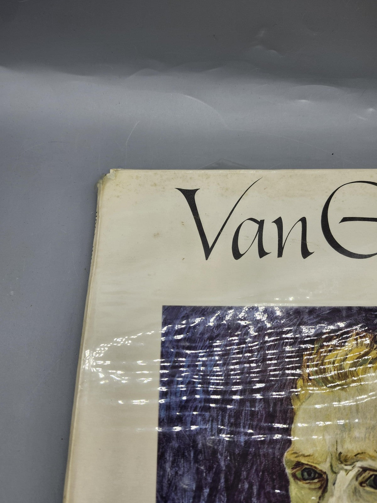Vintage Van Gogh 16 Full Color Prints Meyer Schapiro Cream PB Art Book USA 1952