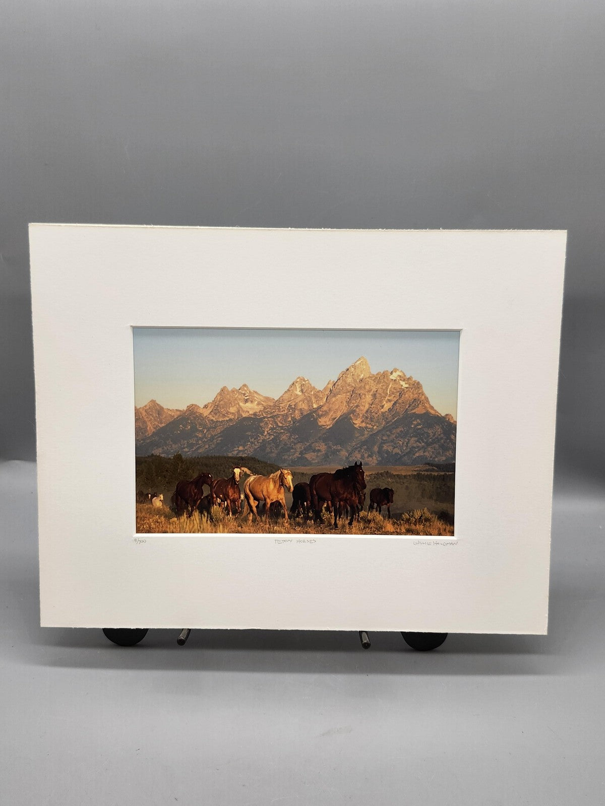 Teton Horses Willie Holdman Color Photograph 11x14 Matted Limited Edition