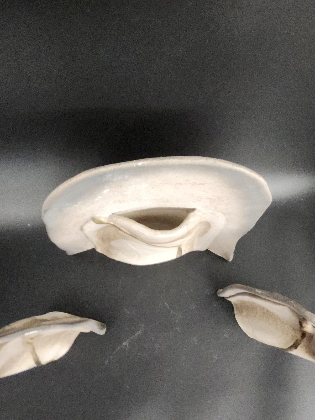 Beige Abstract Ceramic Stoneware Vase Set Of 3 Modern Art Pottery Table Decor
