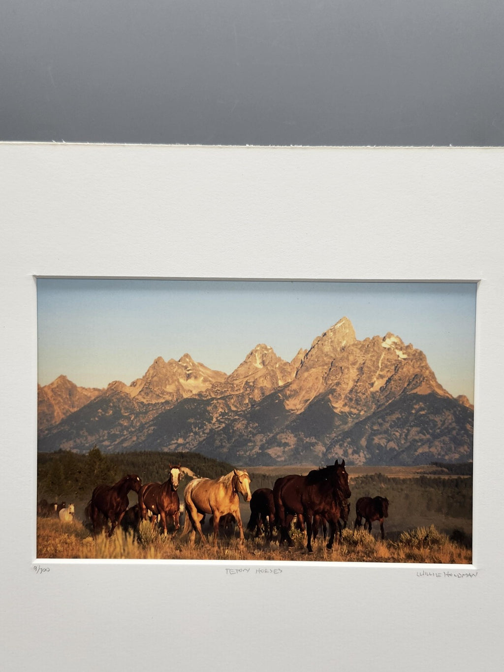 Teton Horses Willie Holdman Color Photograph 11x14 Matted Limited Edition