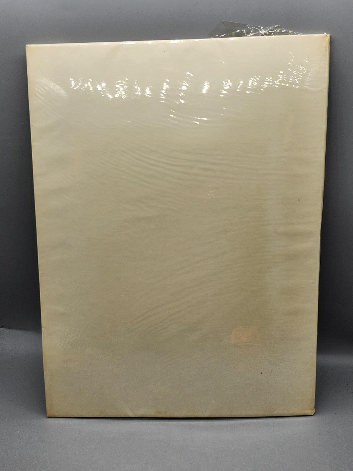 Vintage Velazquez Diego Velazquez Margaretta Salinger PB 16 Art Prints 1954 USA