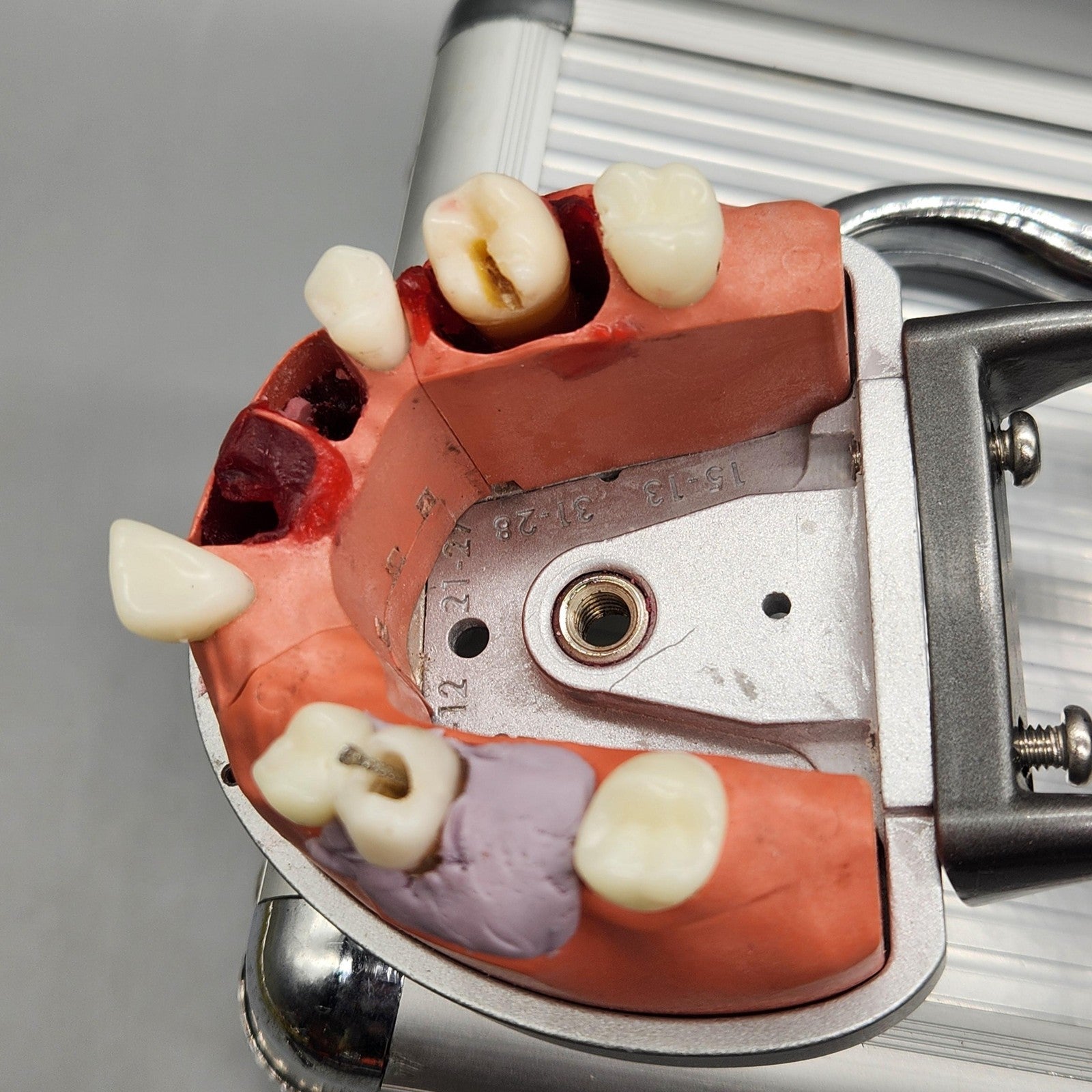 Acadental ModuPRO Endo Typodont MP_E120_PC Dental Silver Carrier Tray Case Model