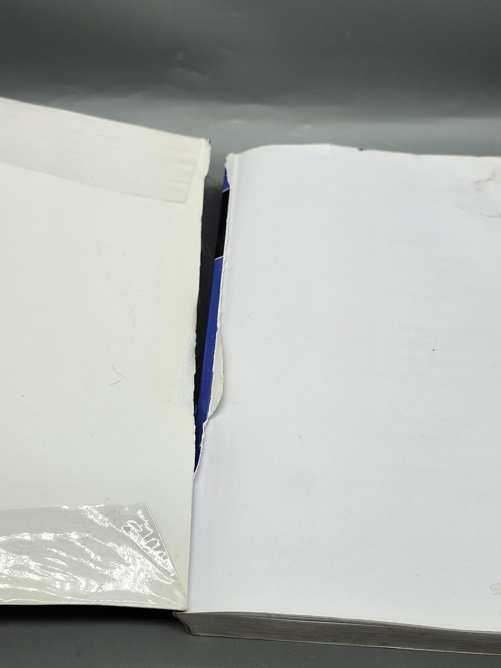 Preparación Nanopartículas Pd PdFe Fe3O4 Idoia Castellanos Blue PB Hipertermia