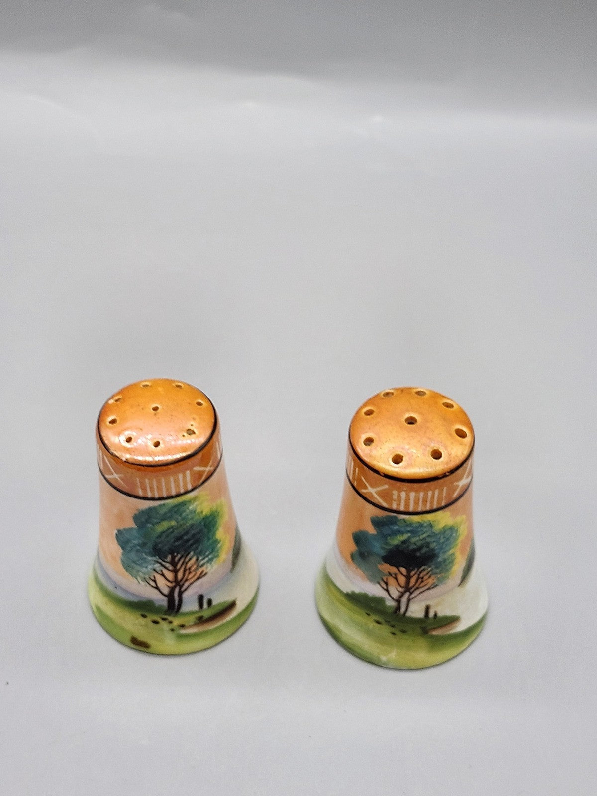 Vintage Japan Porcelain Salt & Pepper Shaker Set Small Handpainted Scenic Decor
