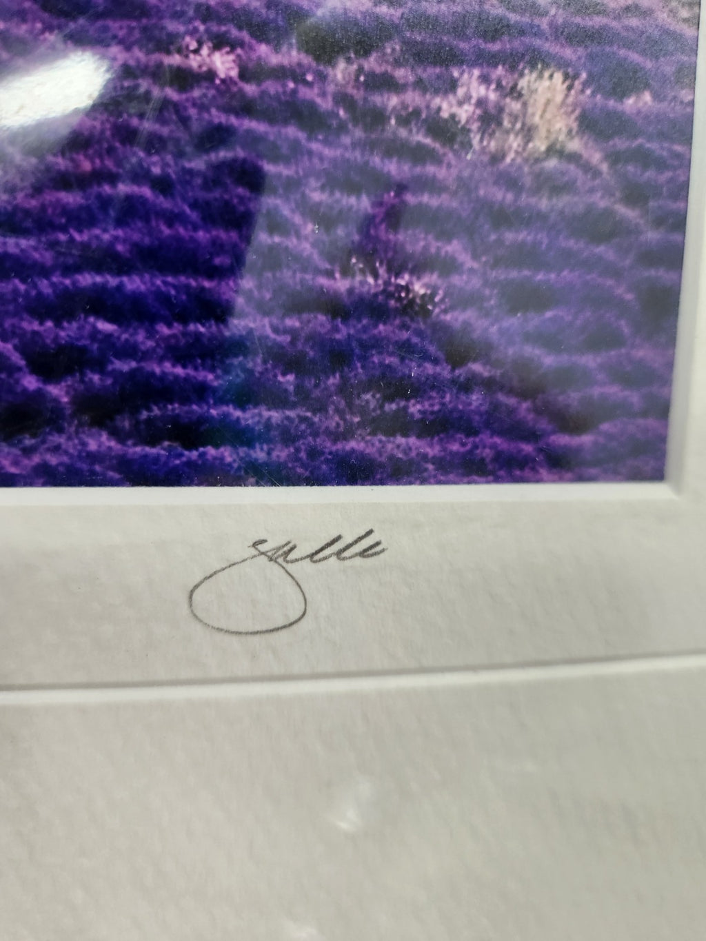 Signed Provence France Lavender Field Print “Mistral” 6/250 Framed Landscape Art
