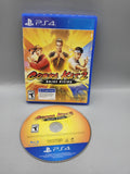 Cobra Kai 2 Dojos Rising PlayStation 4 PS4 Game T Red Mile 2022 Blue Case Disc