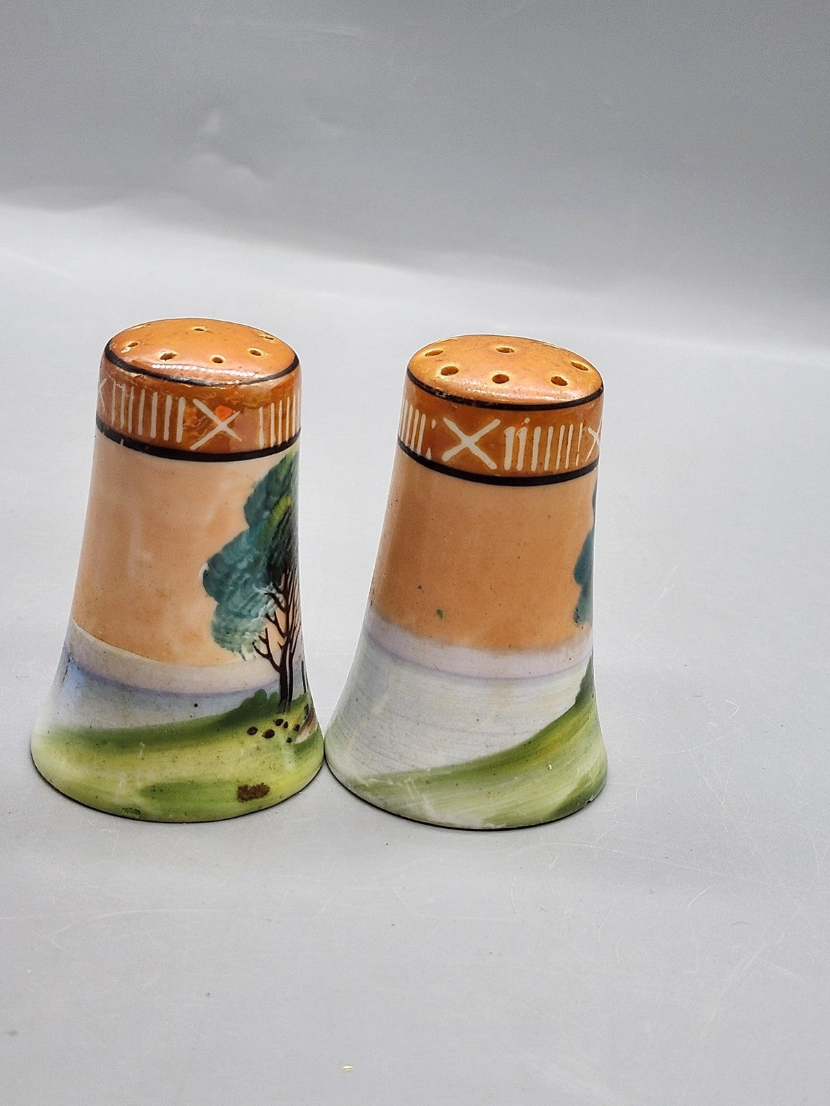 Vintage Japan Porcelain Salt & Pepper Shaker Set Small Handpainted Scenic Decor