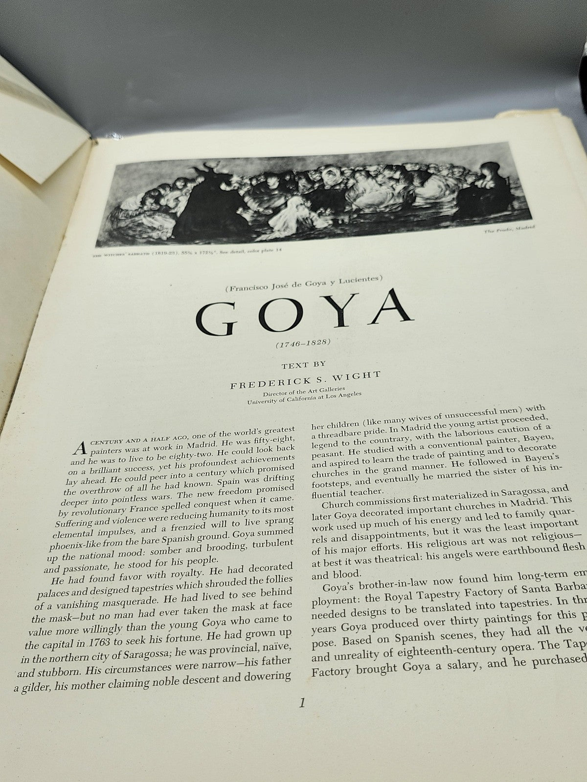 Vintage Francisco Goya 16 Beautiful Full Color Prints Portfolio 1954 Abrams
