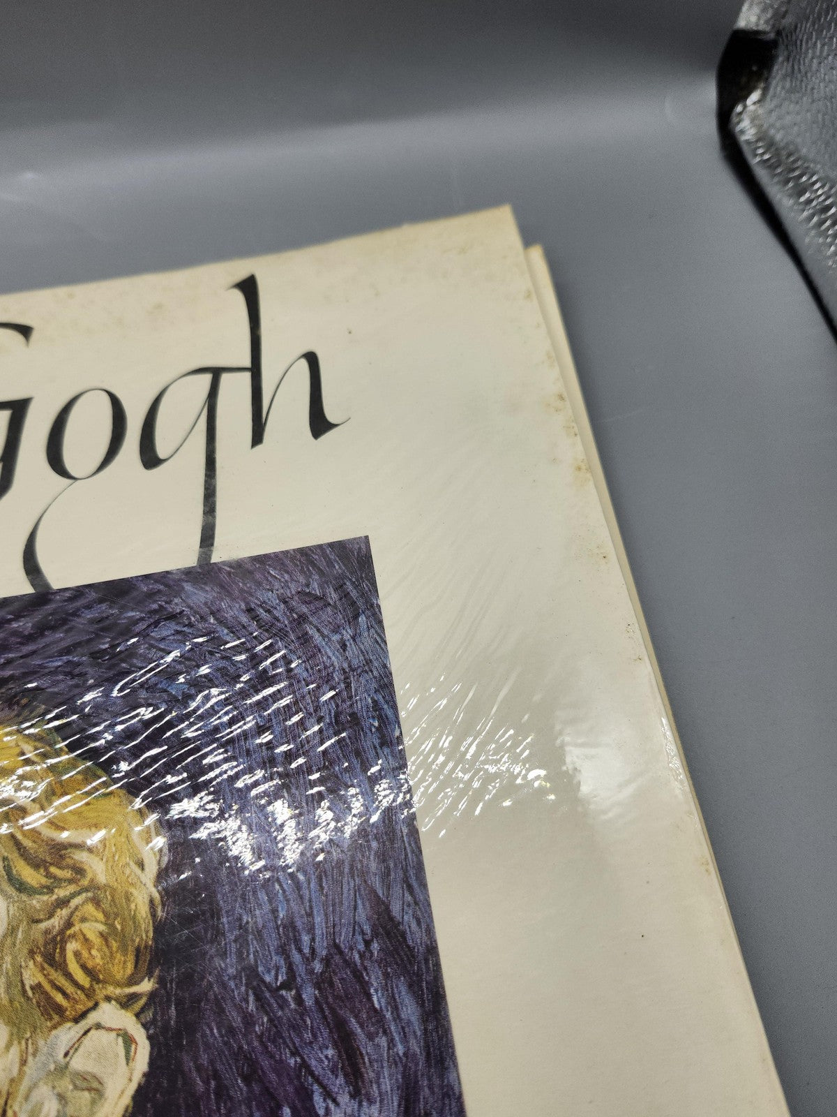 Vintage Van Gogh 16 Full Color Prints Meyer Schapiro Cream PB Art Book USA 1952