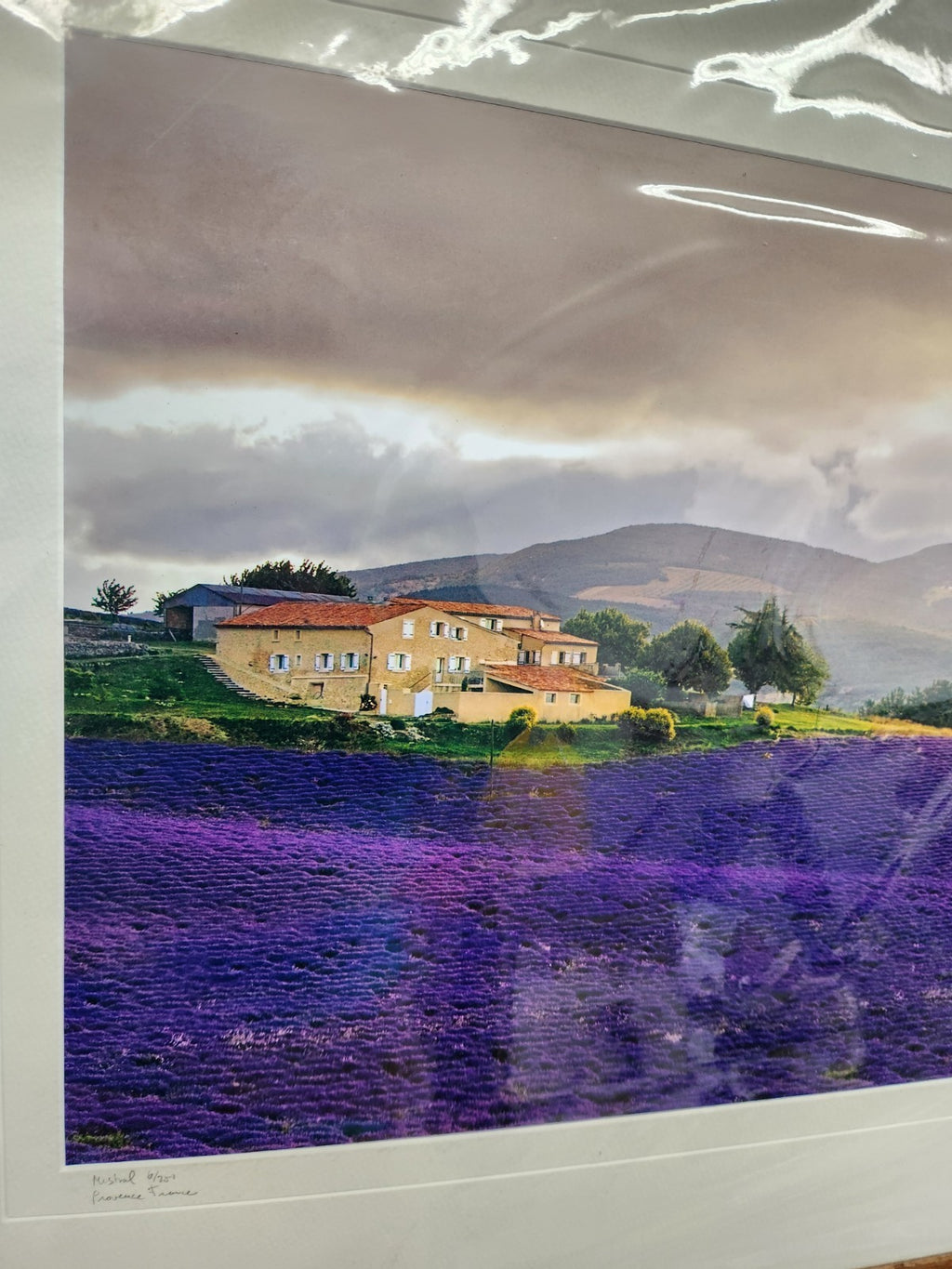 Signed Provence France Lavender Field Print “Mistral” 6/250 Framed Landscape Art