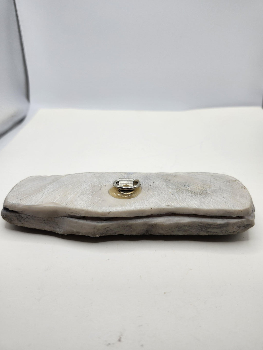 Fossil Tooth Hanging Wall Plaque Gray Resin Stone Look Rustic Decor