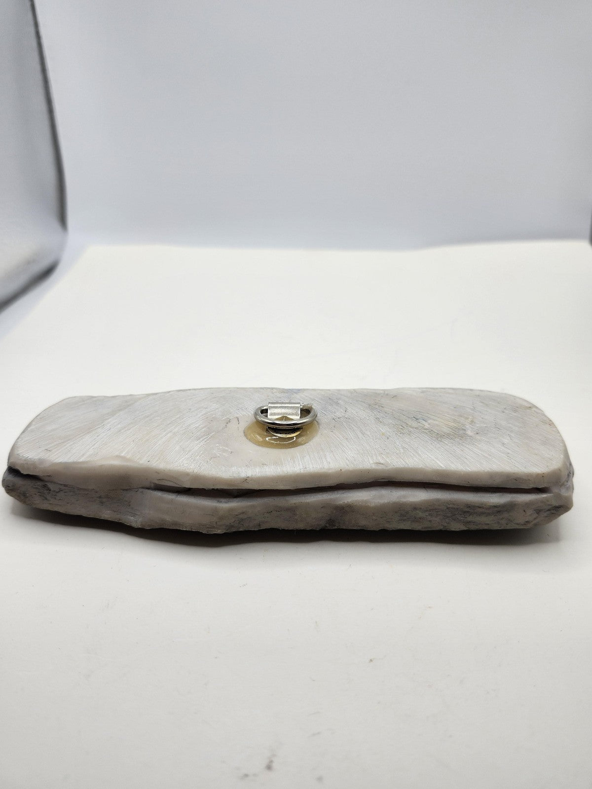 Fossil Tooth Hanging Wall Plaque Gray Resin Stone Look Rustic Decor