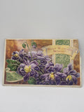 Vintage Best Birthday Wishes Embossed Postcard Purple Flowers Germany Violets