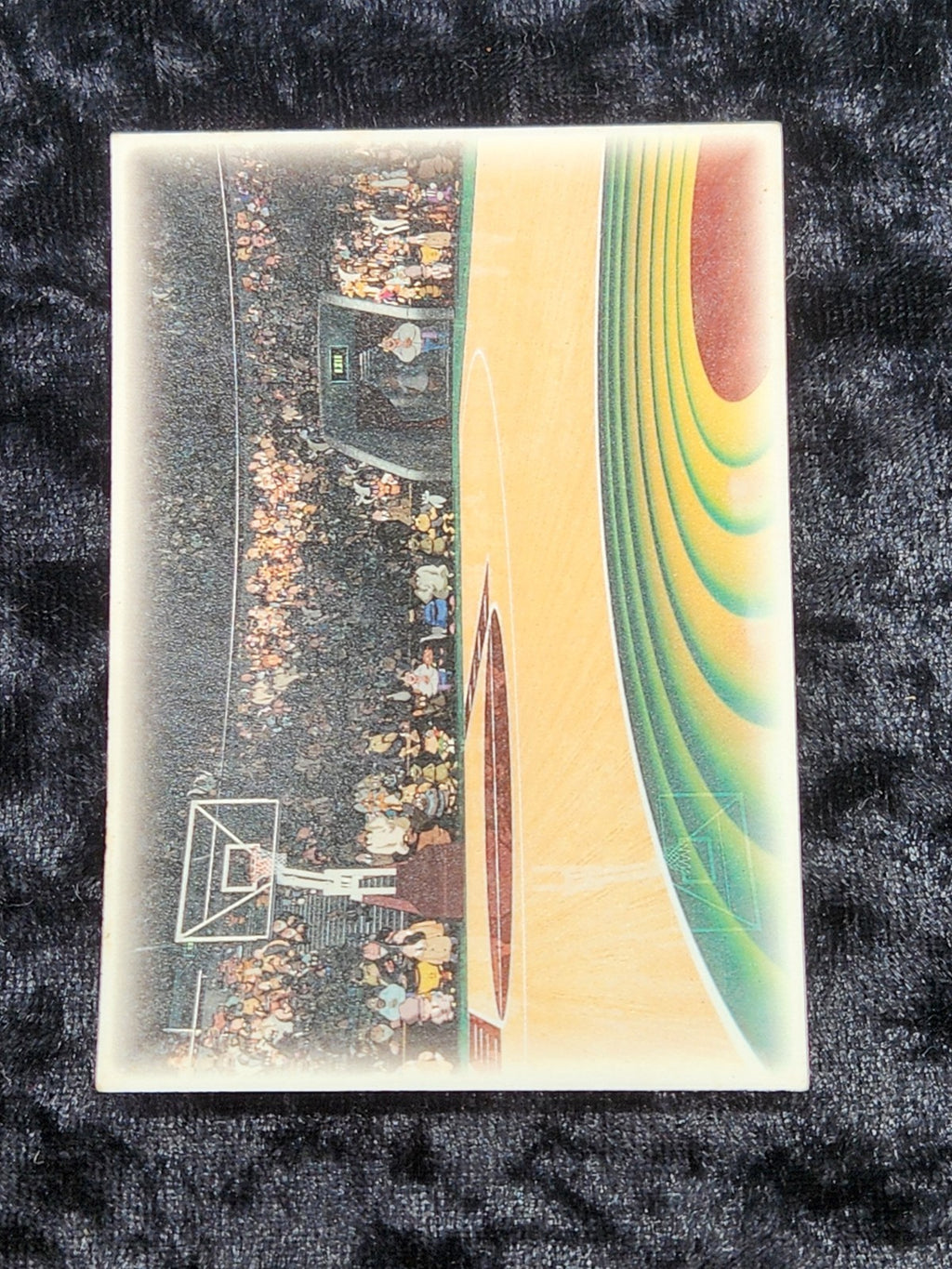 1997 Upper Deck Space Jam Cosmic Showdown CS10 Lola Bunny Die-Cut Sticker...