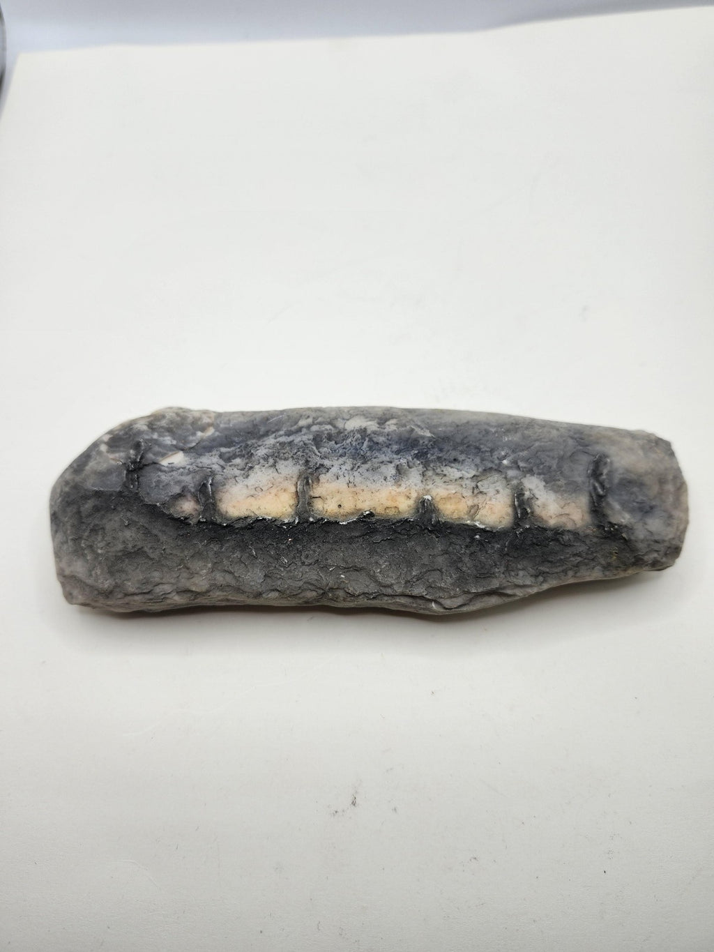 Fossil Tooth Hanging Wall Plaque Gray Resin Stone Look Rustic Decor