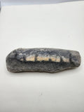 Fossil Tooth Hanging Wall Plaque Gray Resin Stone Look Rustic Decor